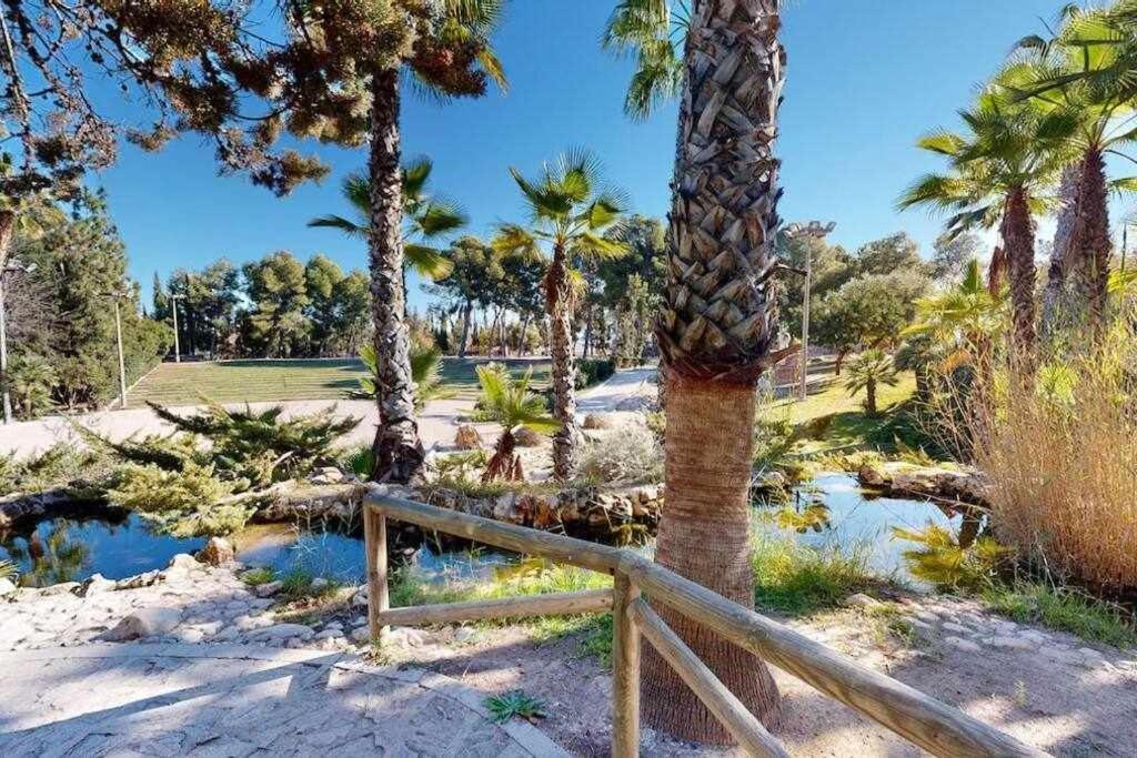 Novelda Centro Habitaciones Con Bano Privado Y Compartido , Cocina Y Terraza 外观 照片
